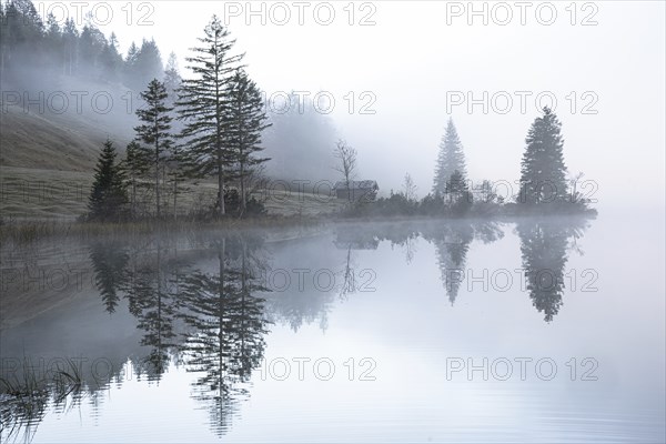 Morning fog at Ferchensee near Mittenwald
