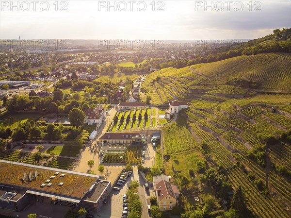 Wackerbarth Castle, originally Wackerbarths Ruh', is a Baroque castle surrounded by vineyards in the Radebeul district of Niederlössnitz on the road to Meissen, which serves as the seat of the Saxon State Winery. The winery belongs to the single vineyard Radebeuler Johannisberg within the large vineyard Lössnitz and is located in the listed historical vineyard landscape Radebeul