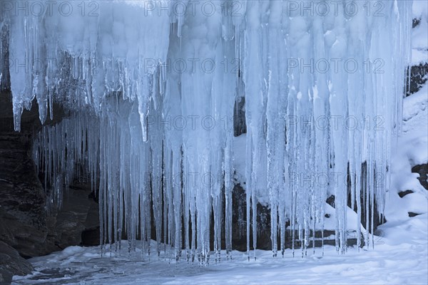 Icicles on the shore of Lake Torneträsk, Lapland, Sweden, Europe