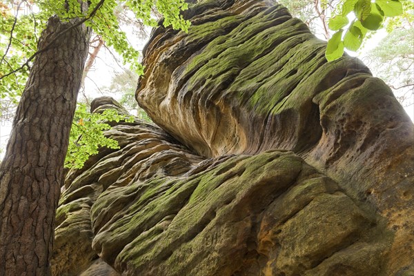 Dippoldiswalder Heide, Einsiedlerstein