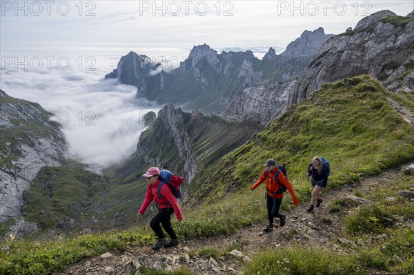 Hiker on hiking trail to Säntis, Appenzell Ausserrhoden, Appenzell Alps, Switzerland, Europe