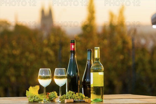 The wine-growing region of Saxony is one of the smallest and the most easterly wine-growing region in Germany, defined in § 3 para. 1 no. 12 of the Wine Act. It is located almost exclusively in the Dresden conurbation in the Elbe valley. Well-known wine towns are Meissen, which gives its name to the most important area, and Radebeul