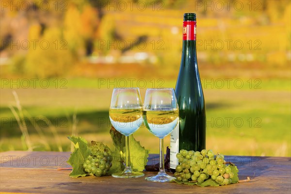 The wine-growing region of Saxony is one of the smallest and the most easterly wine-growing region in Germany, defined in § 3 para. 1 no. 12 of the Wine Act. It is located almost exclusively in the Dresden conurbation in the Elbe valley. Well-known wine towns are Meissen, which gives its name to the most important area, and Radebeul