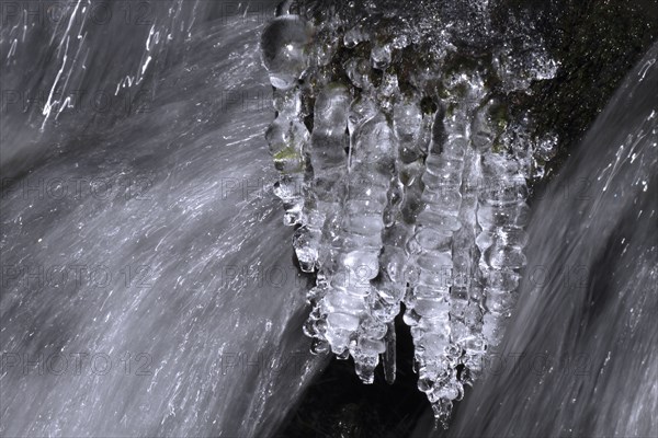 Close-up of icicles on a mountain stream, Saxon Switzerland, Elbe Sandstone Mountains, Saxony, Germany, Europe