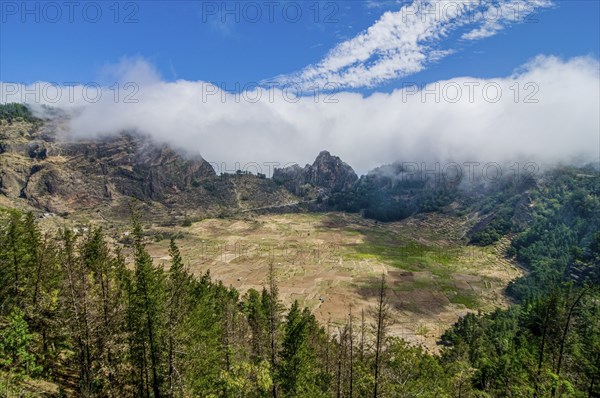 Rock vegetation, trees and dust on island San Antao. Cabo Verde. Africa
