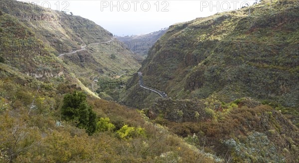 Barranco de la Virgen, Gran Canaria, Canary Islands, Spain, Europe