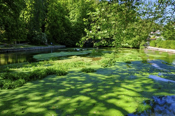 Aachquelle, Aachtopf, Radolfzeller Aach, Aach, Hegau, Baden-Württemberg, Germany, Europe