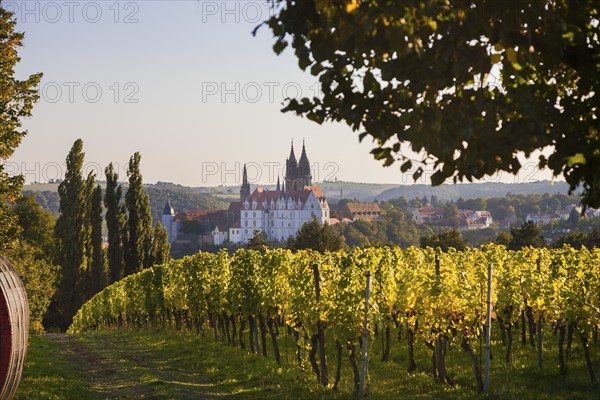 Meissener Scherenschnitt