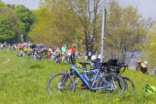 Spectators wait on the banks of the Elbe for the steamship parade of historic paddle steamers