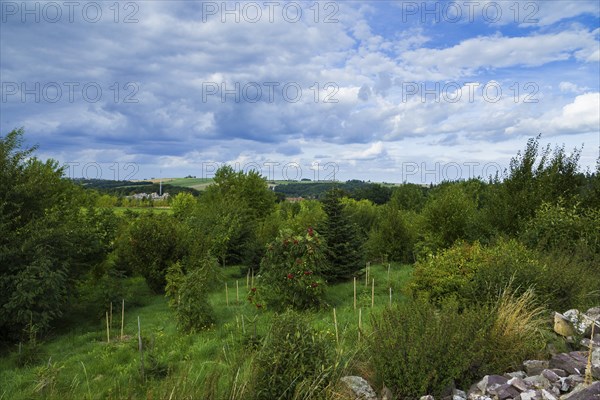 The Forest Botanical Garden Tharandt is an institution of the Technical University of Dresden and at the same time the Saxon State Arboretum. It houses single stem woody plants and has been greatly expanded since 1997 to include North American forest formations