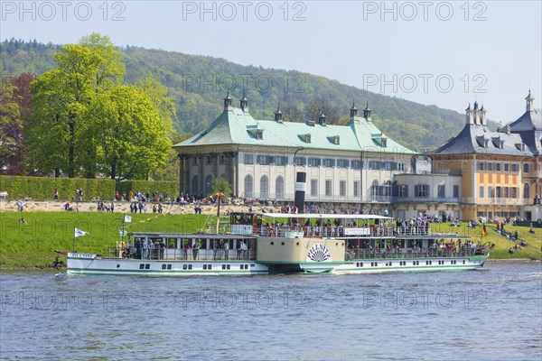Steamship parade of historic paddle steamers in front of Pillnitz Palace