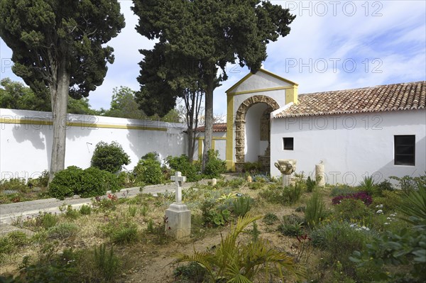 Church of the Third Order of Our Lady of Mount Carmel, Indoor Garden, Faro, Algarve, Portugal, Europe