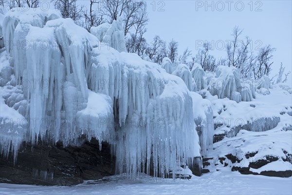 Icicles on the shore of Lake Torneträsk, Lapland, Sweden, Europe