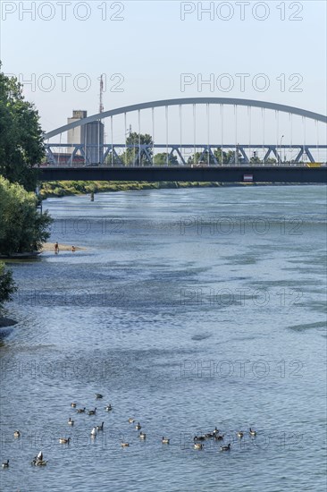 The Rhine between Strasbourg and Kehl seen from the garden of the two banks. Bas-Rhin, Collectivite europeenne d'Alsace, Grand Est