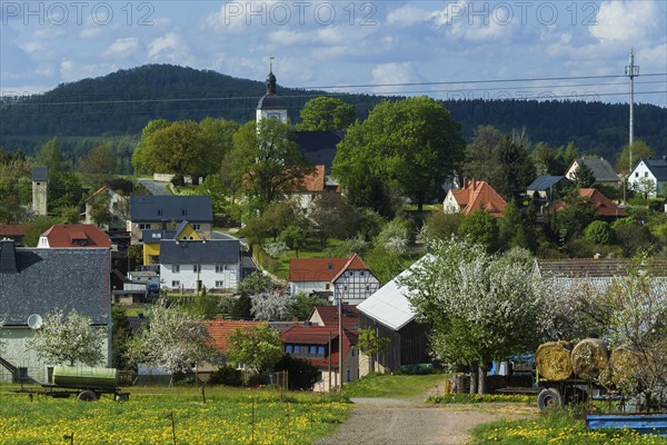 Village view Reinhardtsgrimma