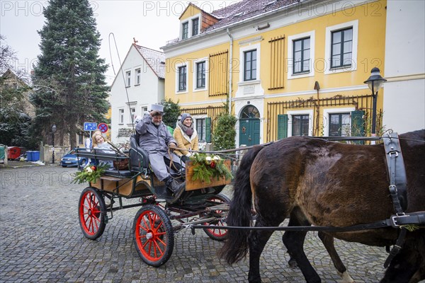 The Elbhangfest Christmas market on Körnerplatz is still an insider's tip in Dresden's Christmas scene