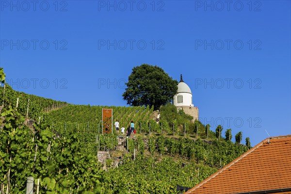 Wackerbarth Castle or Wackerbarths Ruh is a Baroque castle surrounded by vineyards in the Niederlössnitz district of Radebeul on the road to Meissen, which serves as the seat of the Saxon State Winery. The winery belongs to the Lössnitz vineyard and is located in the Radebeuler Johannisberg vineyard