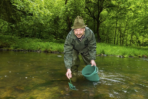 Releasing salmon in Saxon Switzerland