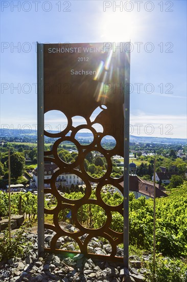Wackerbarth Castle or Wackerbarths Ruh is a Baroque castle surrounded by vineyards in the Niederlössnitz district of Radebeul on the road to Meissen, which serves as the seat of the Saxon State Winery. The winery belongs to the Lössnitz vineyard and is located in the Radebeuler Johannisberg vineyard