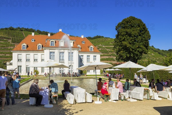 Wackerbarth Castle or Wackerbarths Ruh is a Baroque castle surrounded by vineyards in the Niederlössnitz district of Radebeul on the road to Meissen, which serves as the seat of the Saxon State Winery. The winery belongs to the Lössnitz vineyard and is located in the Radebeuler Johannisberg vineyard