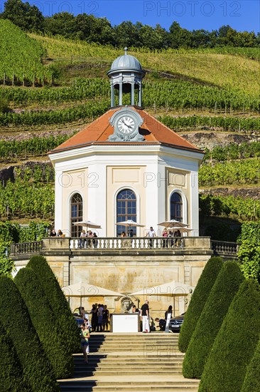 Wackerbarth Castle or Wackerbarths Ruh is a Baroque castle surrounded by vineyards in the Niederlössnitz district of Radebeul on the road to Meissen, which serves as the seat of the Saxon State Winery. The winery belongs to the Lössnitz vineyard and is located in the Radebeuler Johannisberg vineyard