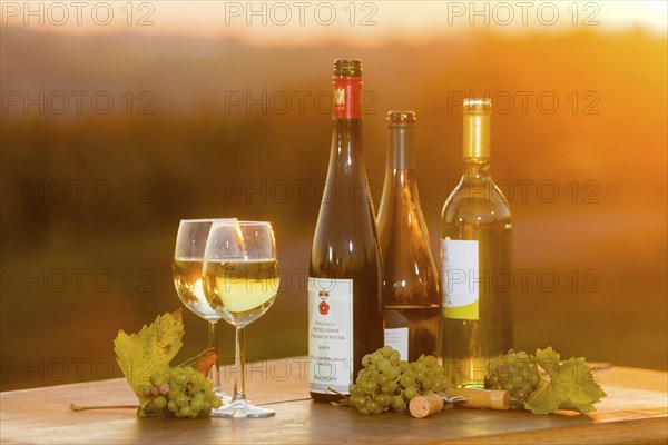 The wine-growing region of Saxony is one of the smallest and the most easterly wine-growing region in Germany, defined in § 3 para. 1 no. 12 of the Wine Act. It is located almost exclusively in the Dresden conurbation in the Elbe valley. Well-known wine towns are Meissen, which gives its name to the most important area, and Radebeul