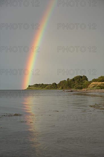Rainbow over the Baltic Sea, Habernis, Steinberg, Schleswig-Holstein, Germany, Europe
