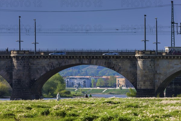 Dresden Elbe meadows on the Neustadt bank of the Elbe.view through the marienbrücke bridge to Oieschen and Radebeul