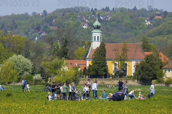 Steamship parade of the historic paddle steamers., in the background the Schifferkirche Maria am Wasser
