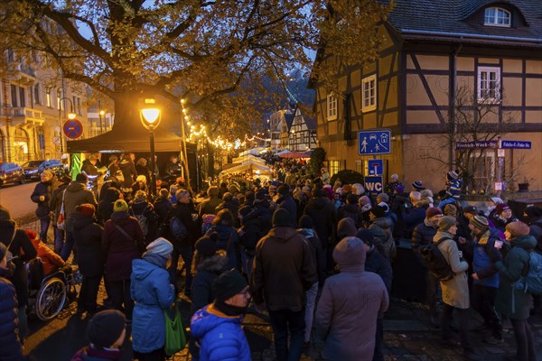 The Elbhangfest Christmas market on Körnerplatz is still an insider's tip in Dresden's Christmas scene