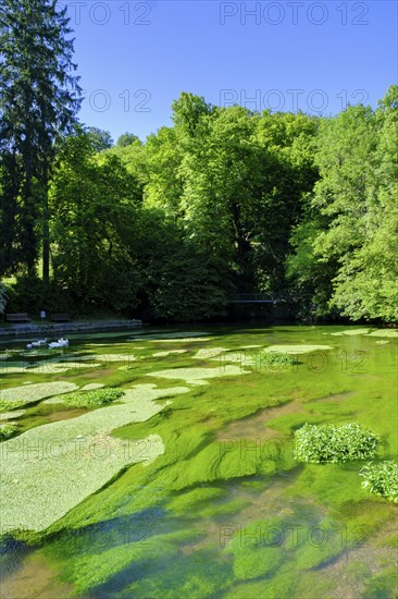 Aachquelle, Aachtopf, Radolfzeller Aach, Aach, Hegau, Baden-Württemberg, Germany, Europe