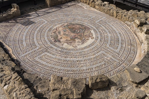 Mosaic in the House of Theseus in the Paphos Archaeological Park, Cyprus, Europe