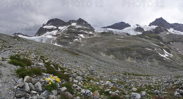 Silvretta main ridge and the
