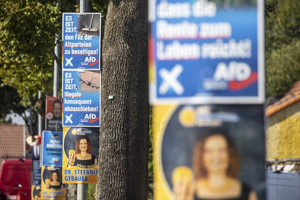 State election in Brandenburg 2024: The AfD party advertises for votes on election posters. Teschendorf, Brandenburg, Germany, Europe