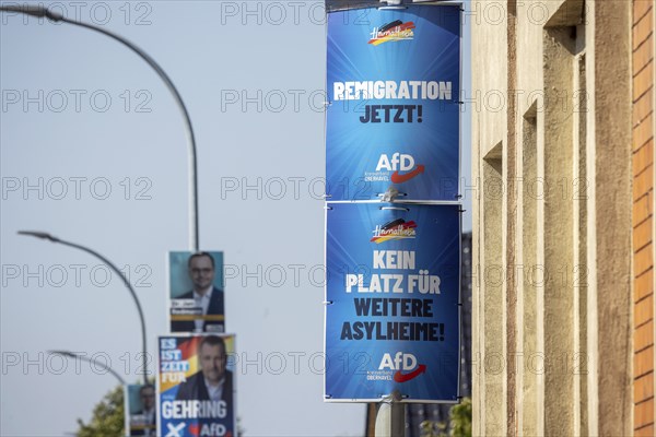 State election in Brandenburg 2024: The AfD party advertises for votes on election posters. Teschendorf, Brandenburg, Germany, Europe