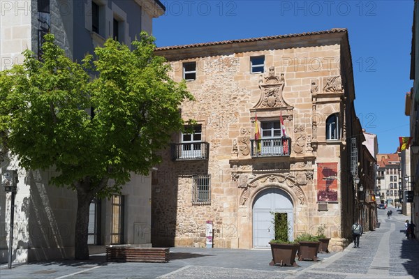 Small historic building with stone walls, ornate windows and a tree on a sunny day, Palacio de los Ríos y Salcedo, Palace of the Rios and Salcedo, Soria, Castilla y León, Leon, Spain, Europe