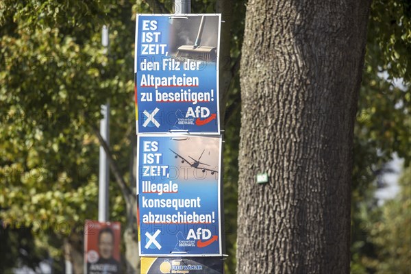 State election in Brandenburg 2024: The AfD party advertises for votes on election posters. Teschendorf, Brandenburg, Germany, Europe