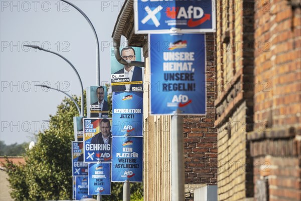 State election in Brandenburg 2024: The AfD party advertises for votes on election posters. Teschendorf, Brandenburg, Germany, Europe