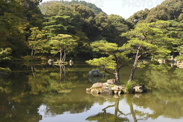 Pond in Japanese garden in Kyoto with sunshine