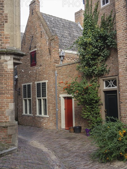 Narrow, overgrown alley with brick houses and plants, nijmegen, netherlands