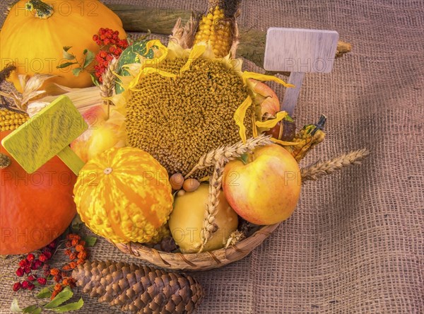 Autumn image with the harvest products from the field and forest arranged in a wicker basket, on a burlap, with two blank placards