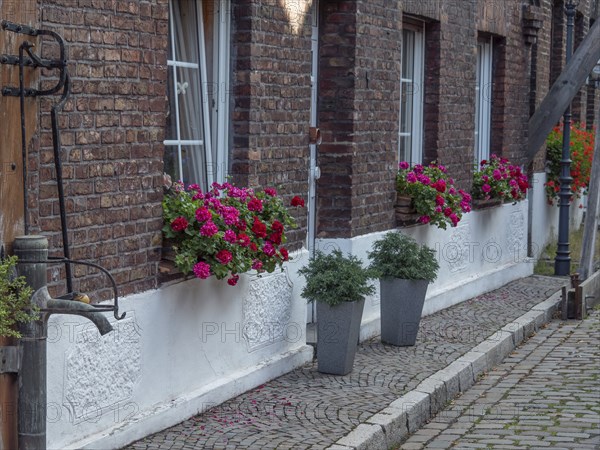 Windows with colourful flowers in pots along a cobbled alley with brick houses, old town flair, krudenburg, hünxe, lower rhine, germany