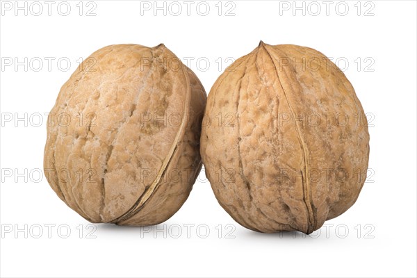Two whole walnuts isolated on a white background