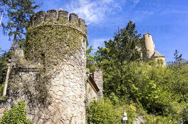Roseburg Harz near Ballenstedt Rieder