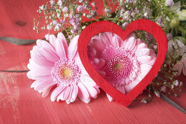 Greeting card idea with pink chrysanthemum and a red decorative heart leaned against them, on a red background. A concept for love, relationship, feelings, celebrations