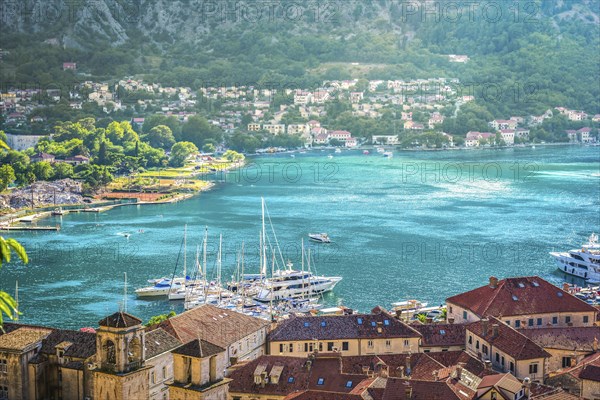 Moored boats in a harbor of Kotor. Rooftop view