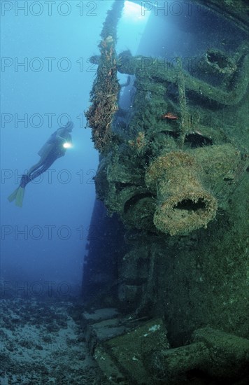 Diver in the Patricia shipwreck, Parapriacanthus ransonneti, Punta Cana, Caribbean Sea, Dominican Republic, Central America