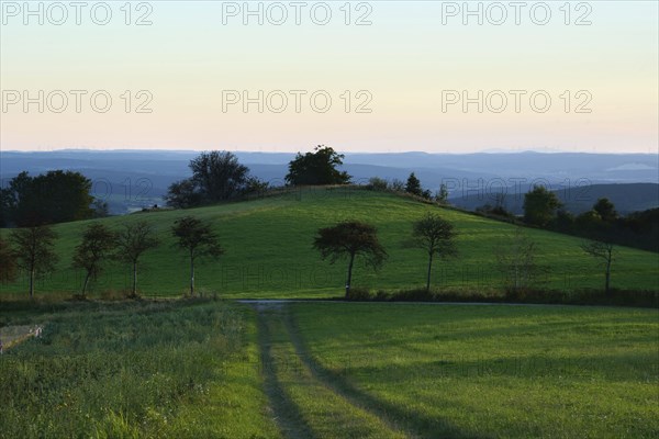 Evening atmosphere at Weiherberg between Dietges and Sieblos, Milseburger Kuppenrhön, Rhön, Hesse, Germany, Europe