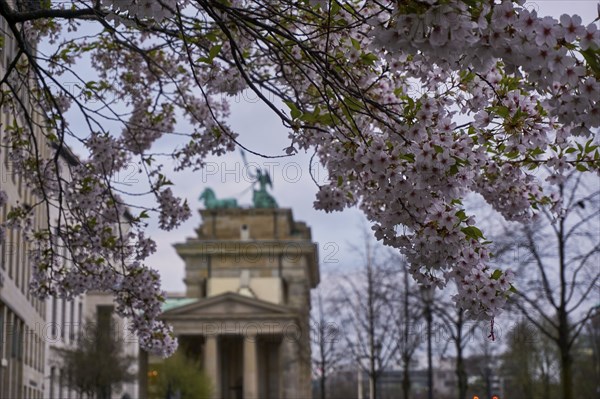 View of the Brandenburger Tor between flowers in Berlin, Germany, Europe