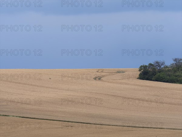 Stormy atmosphere over the grain fields in the Thuringian Basin